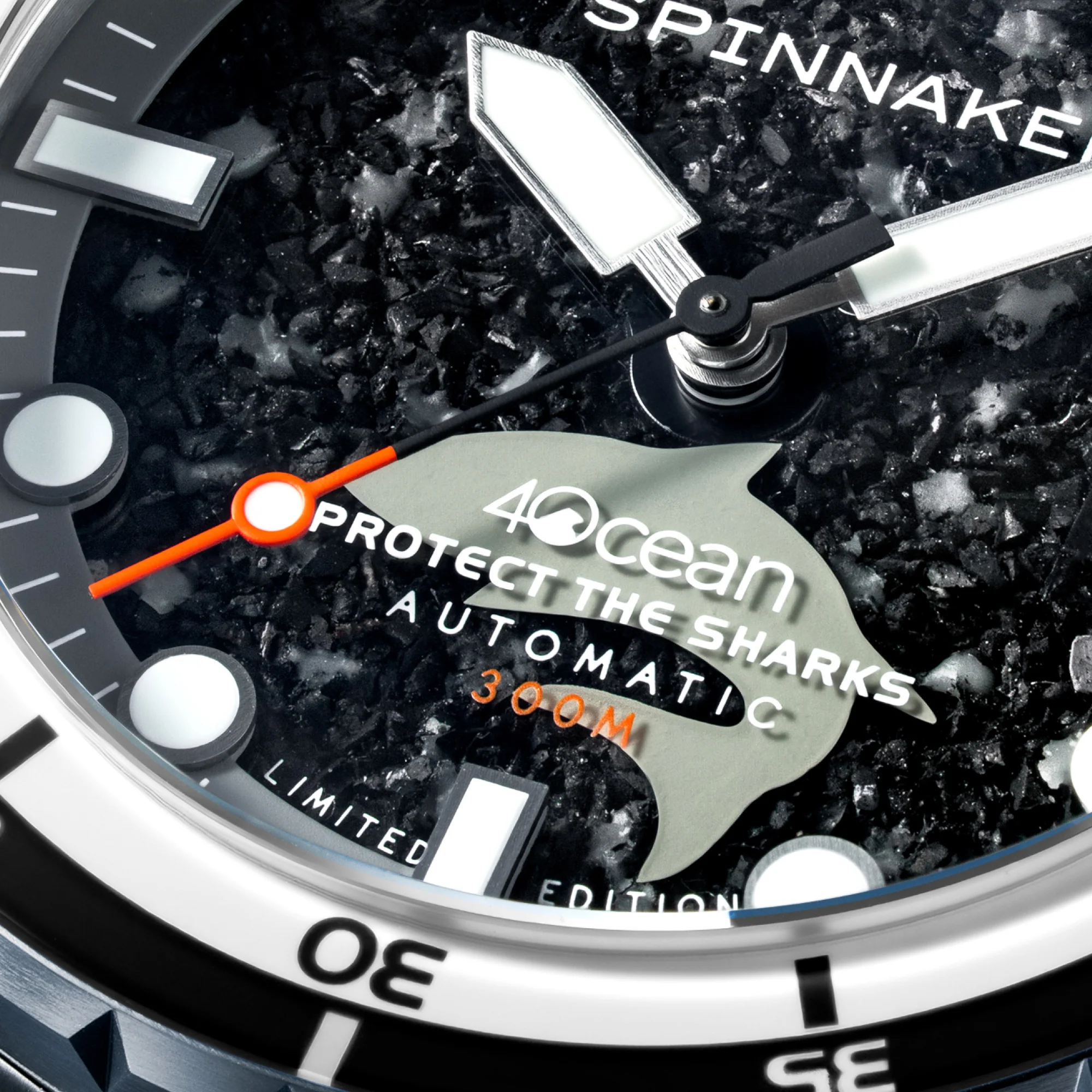 Sharks - Image 6