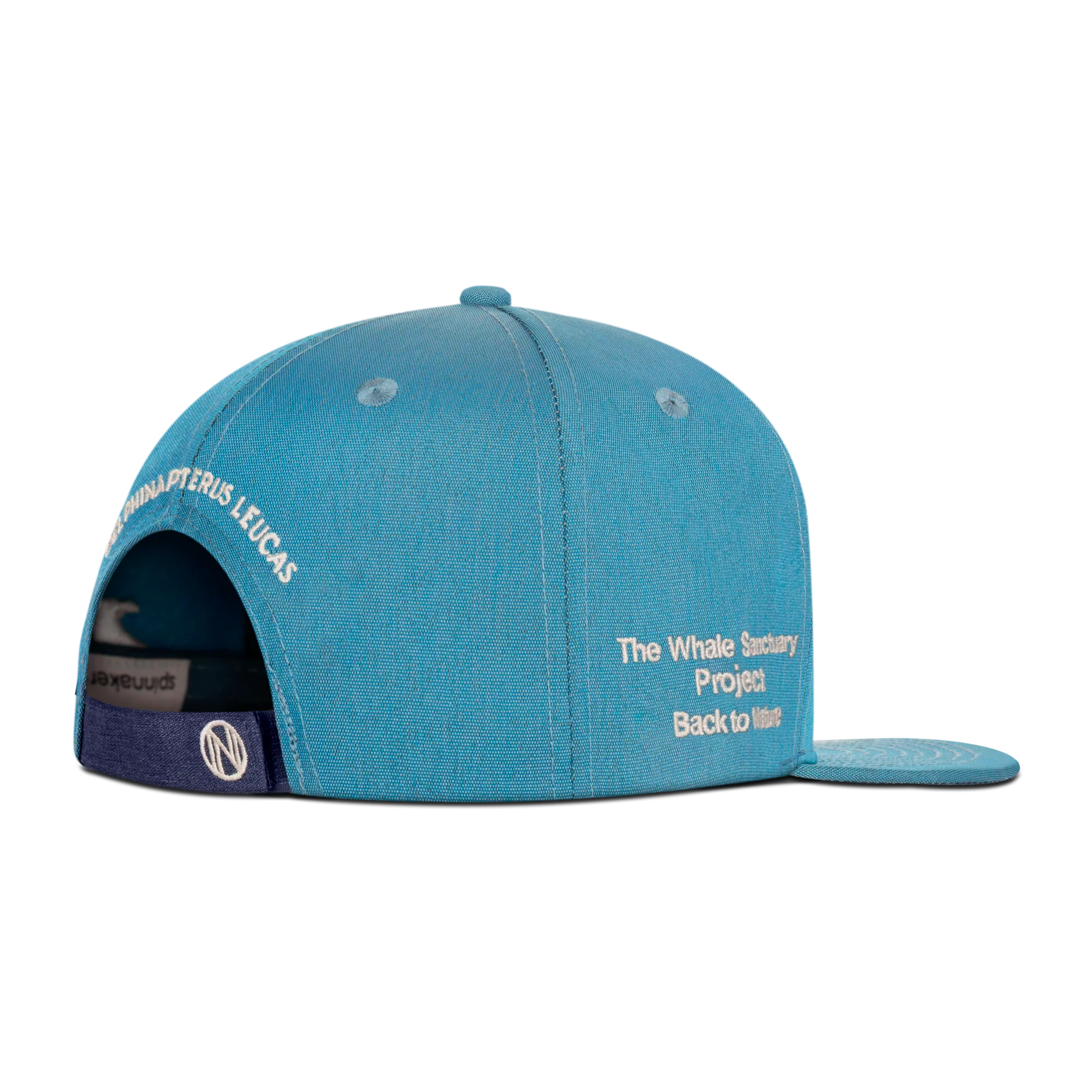Beluga - Image 3
